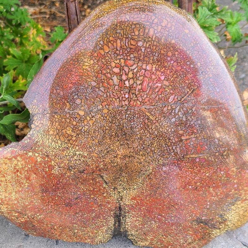 Polish dinosaur bone vertebrae from Park City Jewelers.