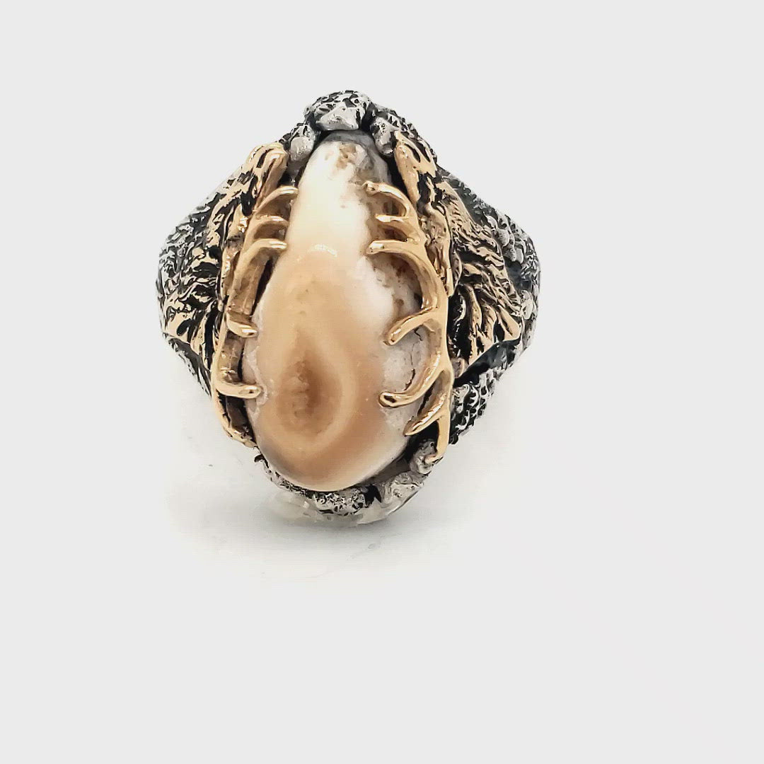 Elk Ivory Trophy Antler Ring 360 Video