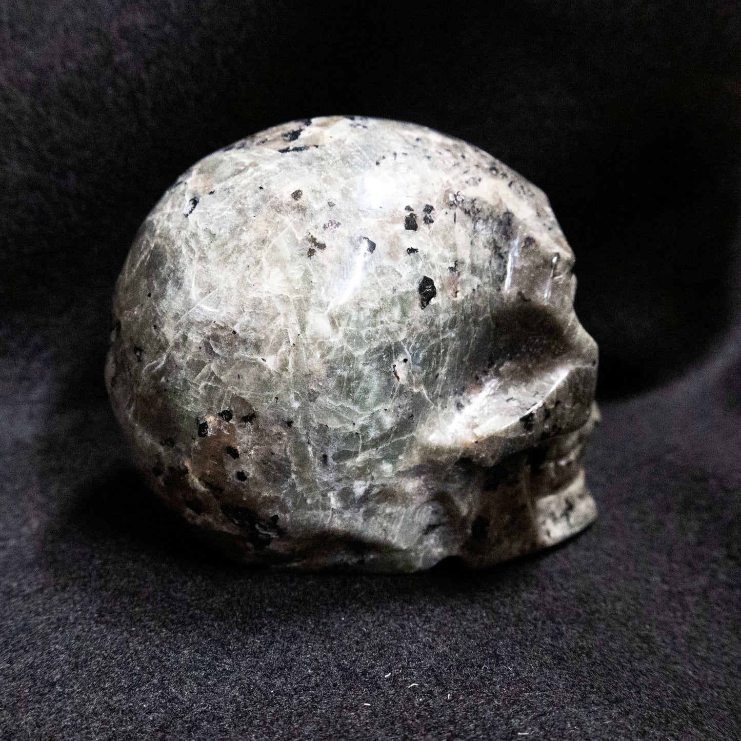 Syenite with Sodalite Carved Skull Highly Fluorescent - Park City Jewelers
