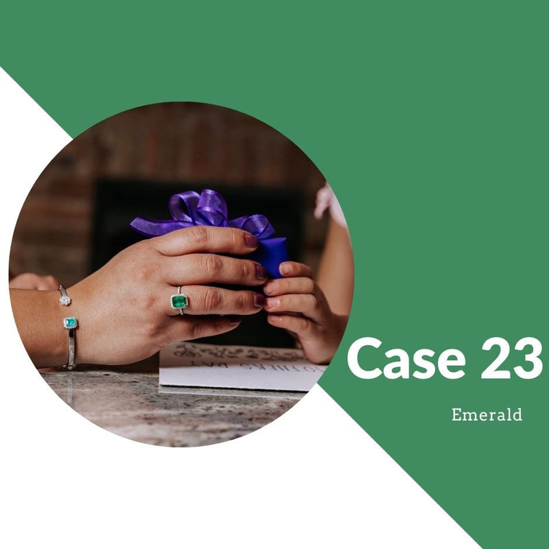Case 23 - Park City Jewelers
