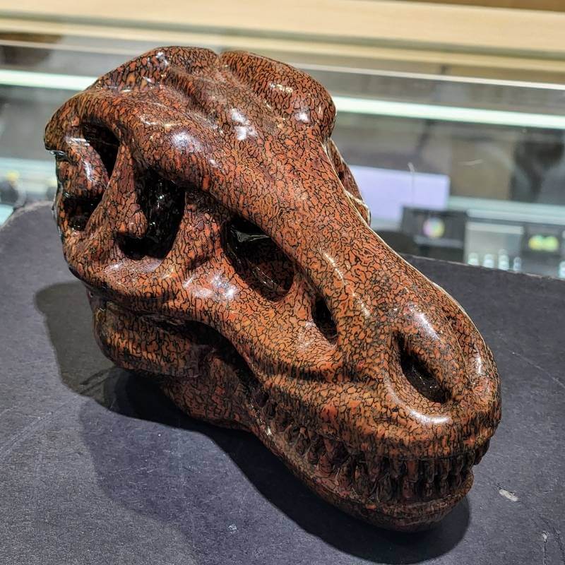 Carved dinosaur bone T-Rex Head