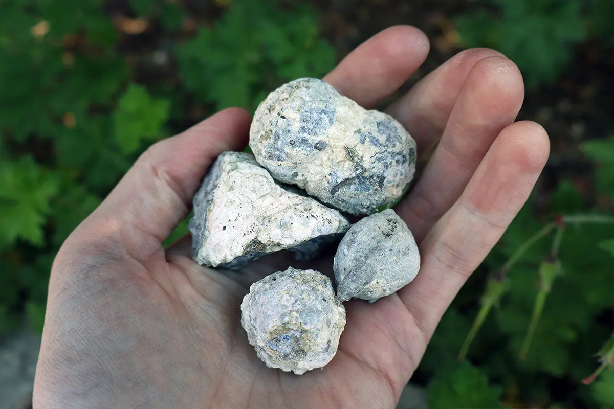 Uncut Dugway Geodes from Park City Jewelers