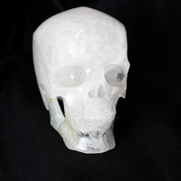 Clear Quartz Skull 12 Inch Carving - Park City Jewelers