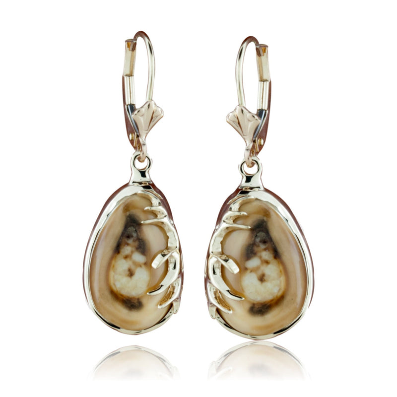 Elk Tooth Ivory Dangle Earrings with Antlers - Park City Jewelers