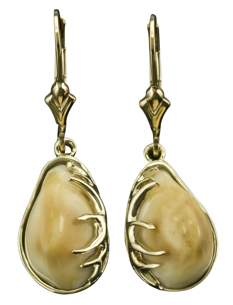 Elk Tooth Ivory Dangle Earrings with Antlers - Park City Jewelers