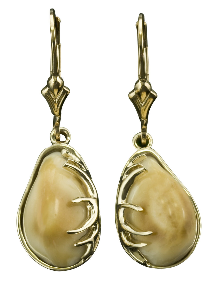 Elk Tooth Ivory Dangle Earrings with Antlers – Park City Jewelers