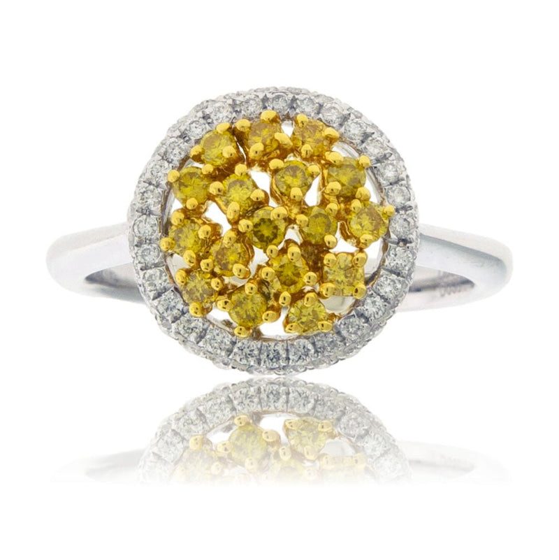 Fancy Natural Yellow Diamond & Diamond Halo Ring - Park City Jewelers