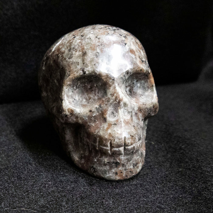 Syenite with Sodalite Carved Skull Highly Fluorescent - Park City Jewelers