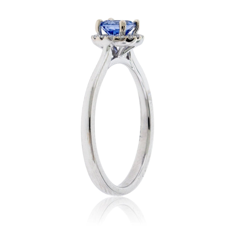 White Gold Round Sapphire Center with Diamond Halo Ring - Park City Jewelers
